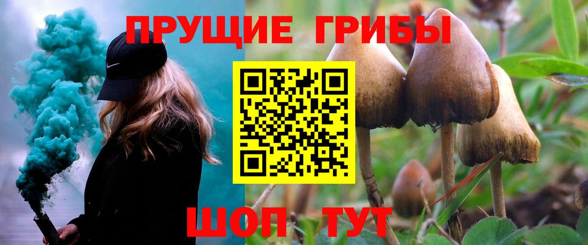 Псилоцибиновые грибы Magic Shrooms Лыткарино