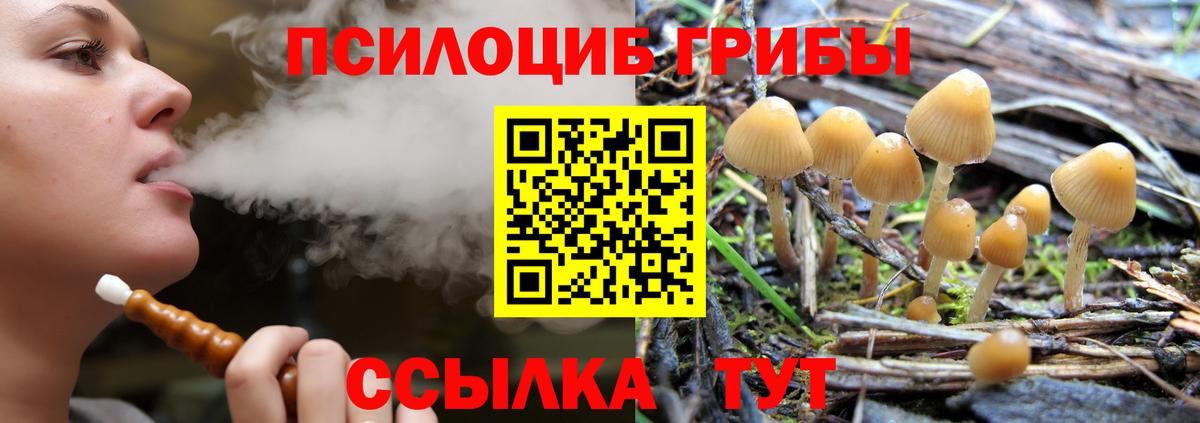 Псилоцибиновые грибы Psilocybe  Вход с VPN  Лыткарино 